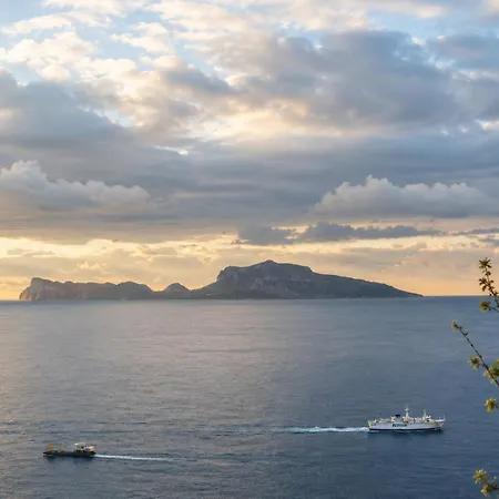 White Κάπρι